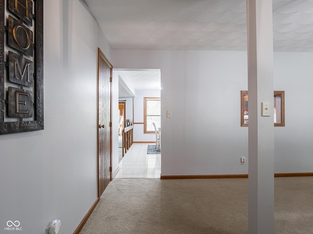 479 Raintree Dr, Danville, IN 46122 - hall with carpet floors and baseboards