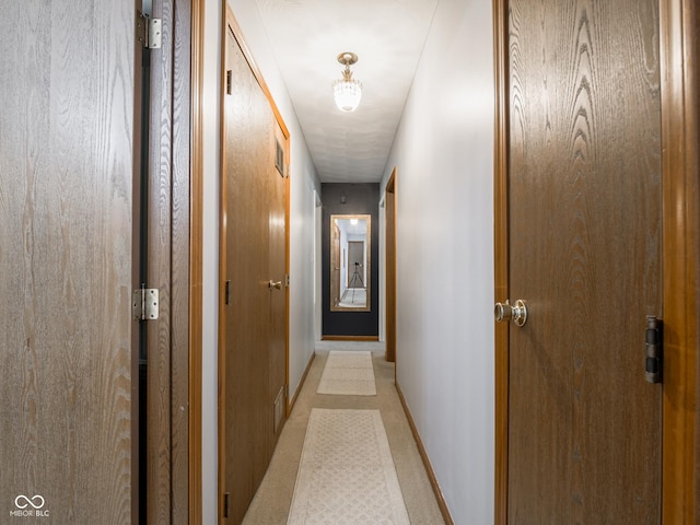 479 Raintree Dr, Danville, IN 46122 - hallway featuring light carpet and baseboards