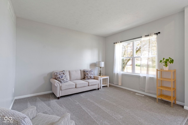 441 Viburnum Run, Westfield, IN 46074 - carpeted living area featuring baseboards