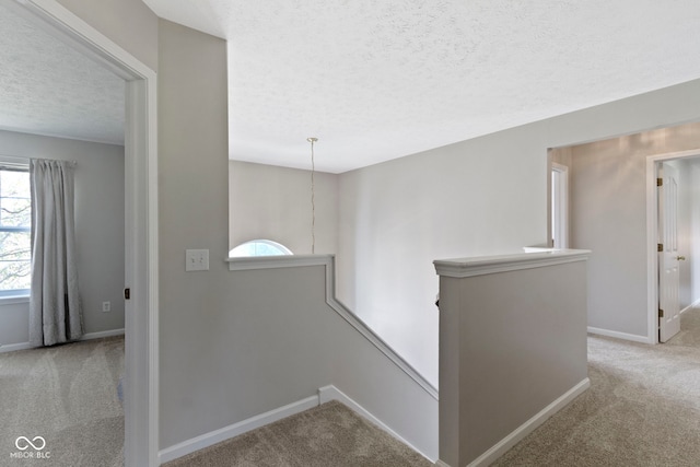 441 Viburnum Run, Westfield, IN 46074 - corridor featuring an upstairs landing, carpet floors, and a textured ceiling