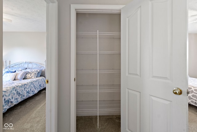 441 Viburnum Run, Westfield, IN 46074 - view of closet