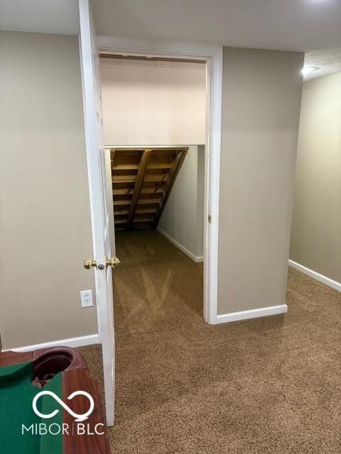 441 Viburnum Run, Westfield, IN 46074 - view of closet