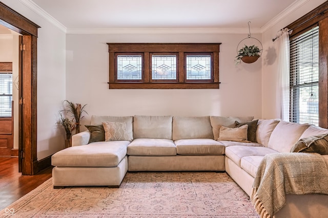 1519 Pleasant St, Indianapolis, IN 46203 - photo 8