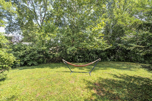 10412 Kiowa Dr, Indianapolis, IN 46235 - photo 21