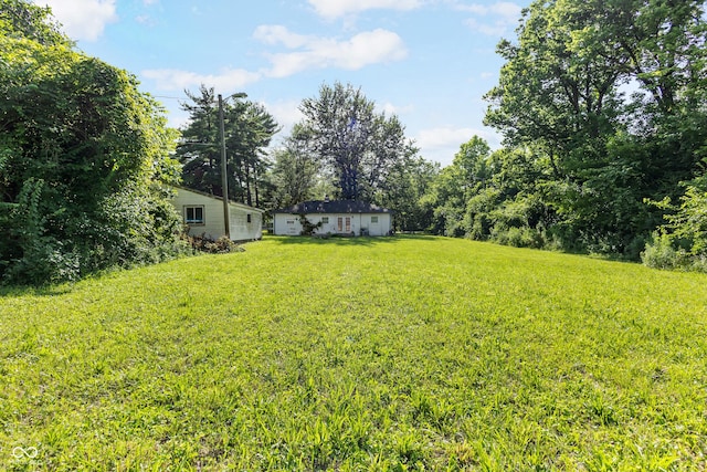 3945 N Ridgeview Dr, Indianapolis, IN 46226 - view of green lawn