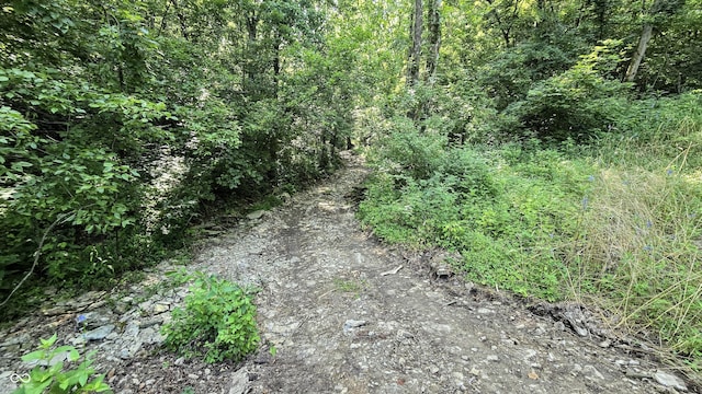 6000 N E Prong Rd, Madison, IN 47250 - photo 71