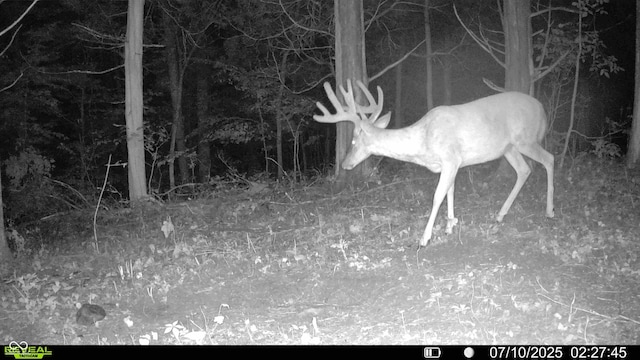 6000 N E Prong Rd, Madison, IN 47250 - photo 7