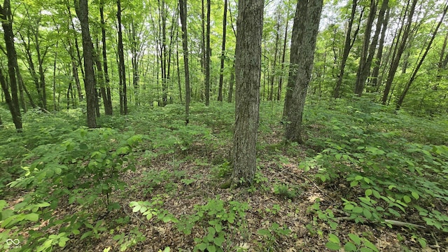 6000 N E Prong Rd, Madison, IN 47250 - photo 46
