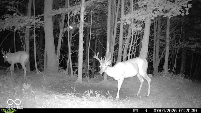 6000 N E Prong Rd, Madison, IN 47250 - photo 84