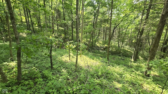 6000 N E Prong Rd, Madison, IN 47250 - photo 42