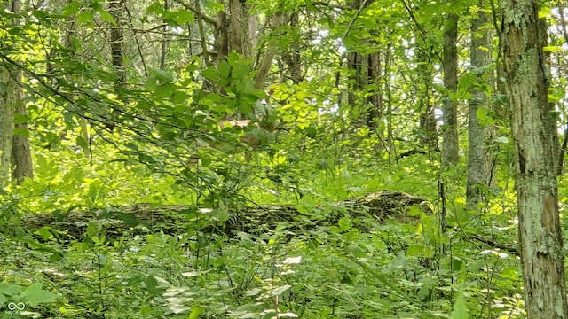 6000 N E Prong Rd, Madison, IN 47250 - photo 35