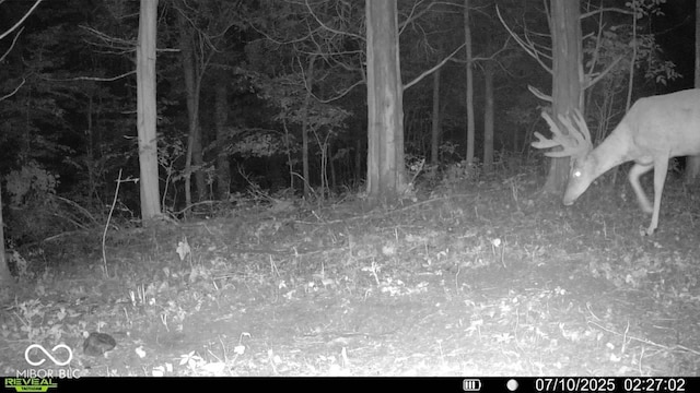 6000 N E Prong Rd, Madison, IN 47250 - photo 6