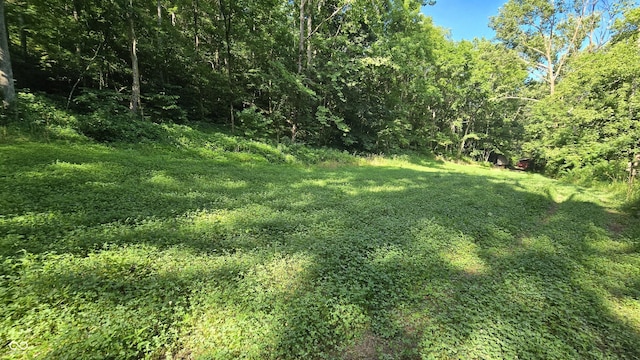 6000 N E Prong Rd, Madison, IN 47250 - photo 30