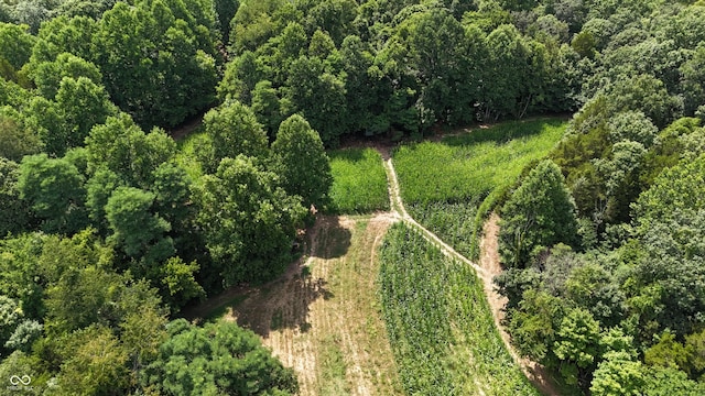 6000 N E Prong Rd, Madison, IN 47250 - photo 18