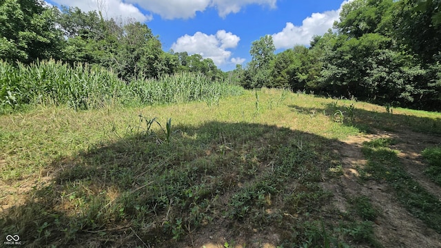 6000 N E Prong Rd, Madison, IN 47250 - photo 72