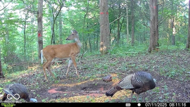 6000 N E Prong Rd, Madison, IN 47250 - photo 83