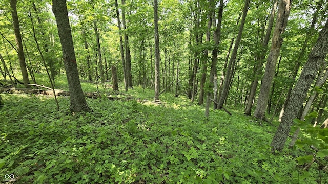 6000 N E Prong Rd, Madison, IN 47250 - photo 45