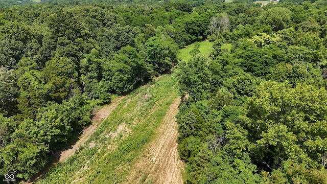6000 N E Prong Rd, Madison, IN 47250 - photo 17