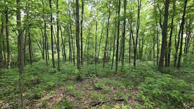 6000 N E Prong Rd, Madison, IN 47250 - photo 48