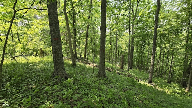 6000 N E Prong Rd, Madison, IN 47250 - photo 44