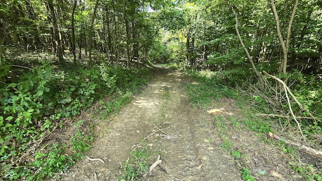 6000 N E Prong Rd, Madison, IN 47250 - photo 67