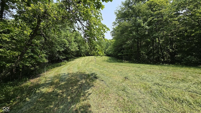 6000 N E Prong Rd, Madison, IN 47250 - photo 78