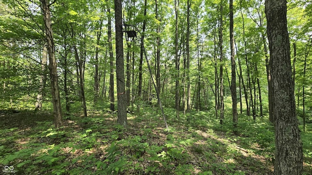 6000 N E Prong Rd, Madison, IN 47250 - photo 47
