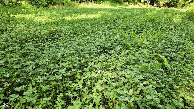 6000 N E Prong Rd, Madison, IN 47250 - photo 29