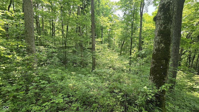 6000 N E Prong Rd, Madison, IN 47250 - photo 38