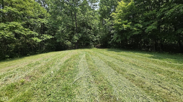 6000 N E Prong Rd, Madison, IN 47250 - photo 77