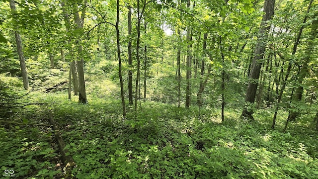 6000 N E Prong Rd, Madison, IN 47250 - photo 37