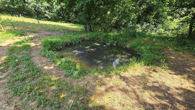 6000 N E Prong Rd, Madison, IN 47250 - photo 10