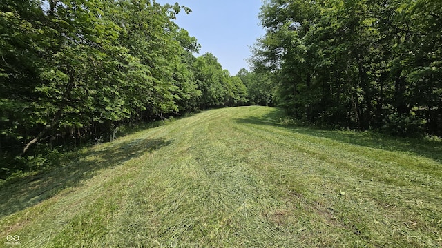 6000 N E Prong Rd, Madison, IN 47250 - photo 79
