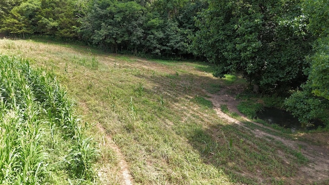 6000 N E Prong Rd, Madison, IN 47250 - photo 54