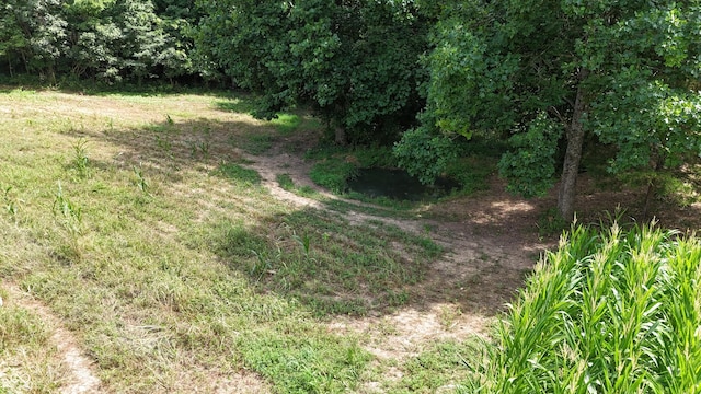 6000 N E Prong Rd, Madison, IN 47250 - photo 55