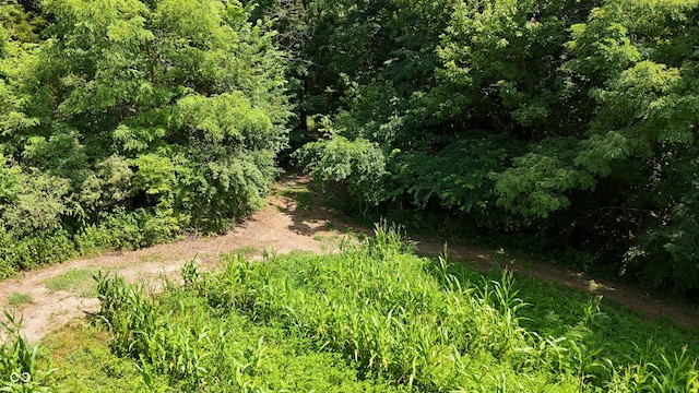6000 N E Prong Rd, Madison, IN 47250 - photo 61