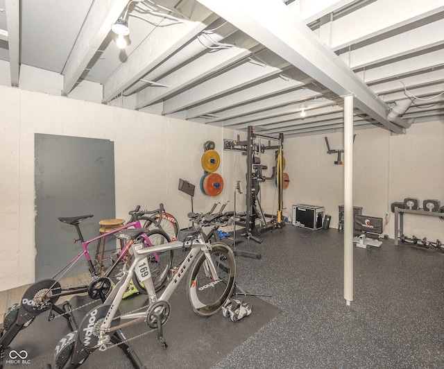 17019 Flinchum Way E, Noblesville, IN 46062 - view of exercise area