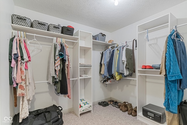 606 S Grange Hall Rd, Hanover, IN 47243 - walk in closet with carpet flooring