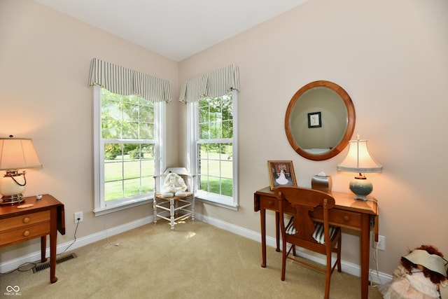 2819 E High Grove Cir, Zionsville, IN 46077 - photo 27