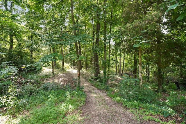5695 W Gifford Rd, Bloomington, IN 47403 - photo 48