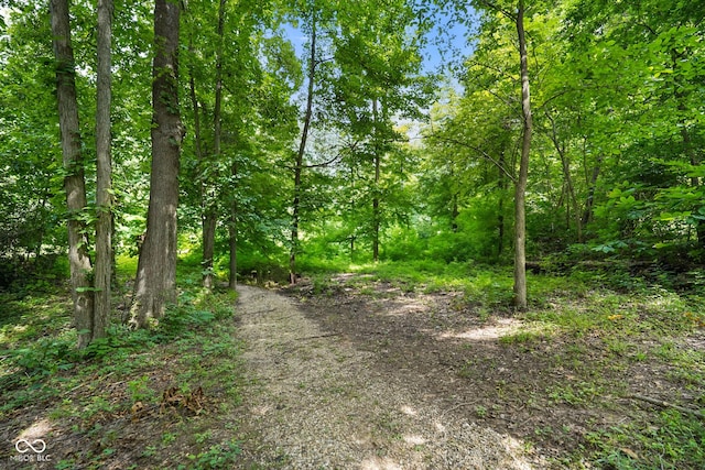 5695 W Gifford Rd, Bloomington, IN 47403 - photo 49