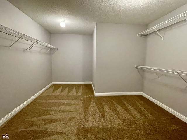 10570 Wyatt Dr, Indianapolis, IN 46231 - photo 22