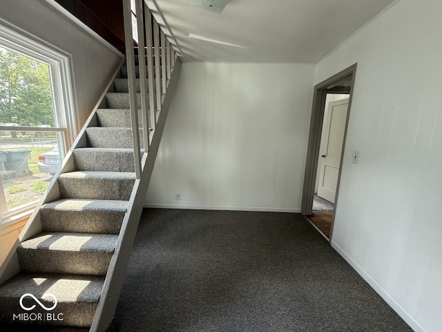 1914 E 23rd St, Muncie, IN 47302 - stairs with carpet and baseboards