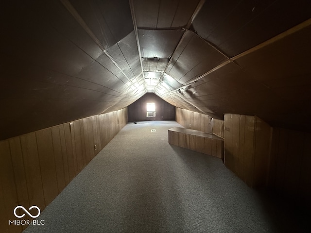 1914 E 23rd St, Muncie, IN 47302 - additional living space with wood walls, carpet, and vaulted ceiling