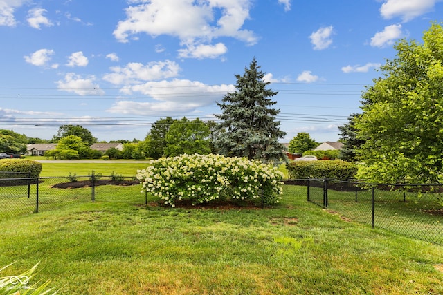 7322 Lattice Dr, Indianapolis, IN 46217 - photo 30