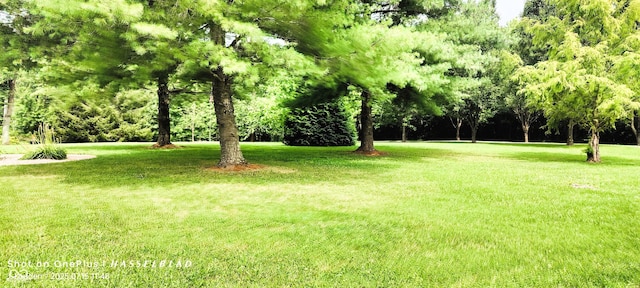 5295 S County Road 350 W, Versailles, IN 47042 - photo 39