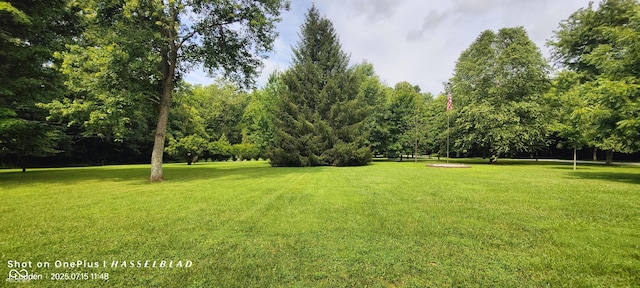 5295 S County Road 350 W, Versailles, IN 47042 - photo 4