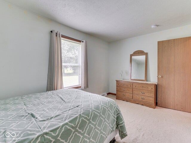 2665 E Annily Ct, Martinsville, IN 46151 - photo 29