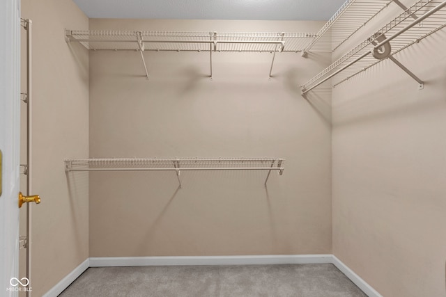 5809 Spruce Knoll Ct, Indianapolis, IN 46220 - photo 46