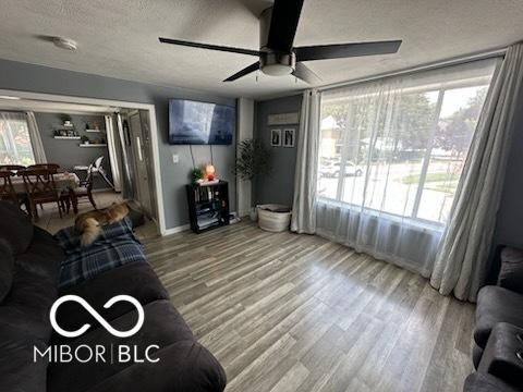 1129 Lafayette St, Elkhart, IN 46516 - living area featuring a textured ceiling, ceiling fan, and wood finished floors